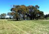 101 Strathnook Lane, Orange