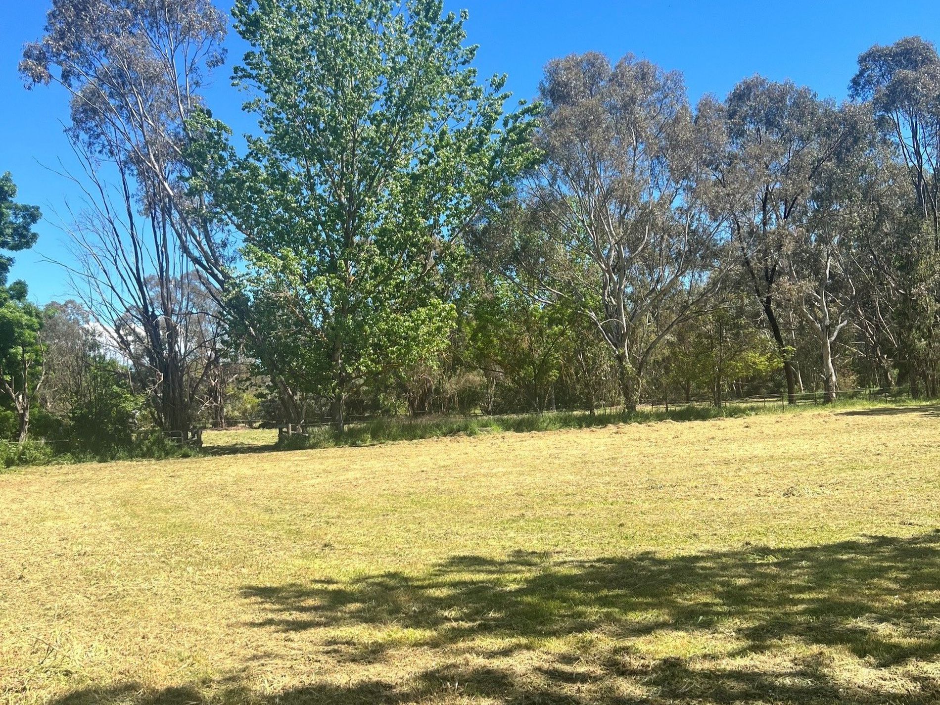 5 Rowe Street, Mansfield