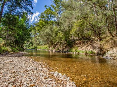4202 Mansfield-Woods Point Road, Jamieson