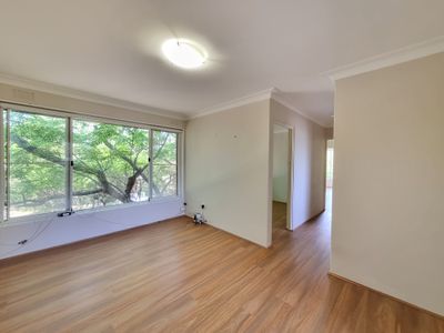 6 / 12 Marrickville Avenue, Marrickville