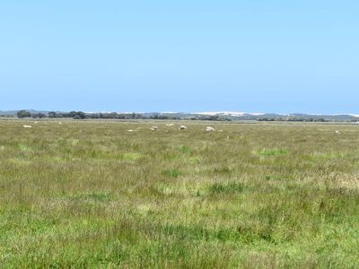 1404 Canunda Frontage Road, Millicent