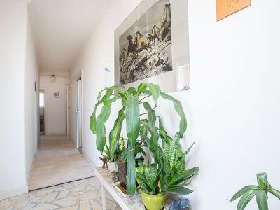 3 Fashoda Avenue, Camden Park