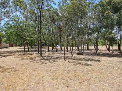 59 Howlong-Burrumbuttock Road, Burrumbuttock