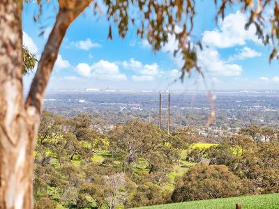 308 Medlow Road, One Tree Hill