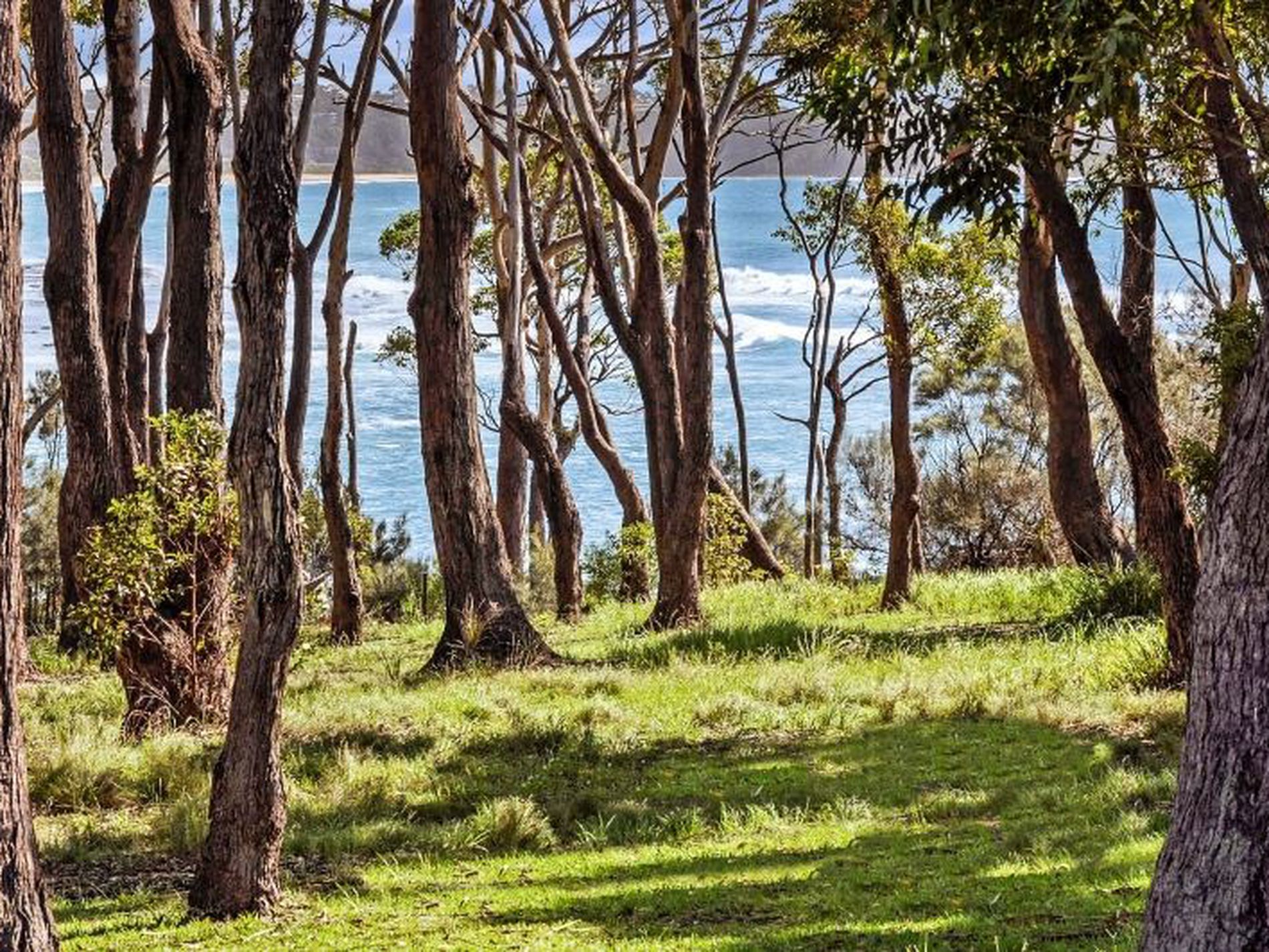 16 Conjola Street, Ulladulla