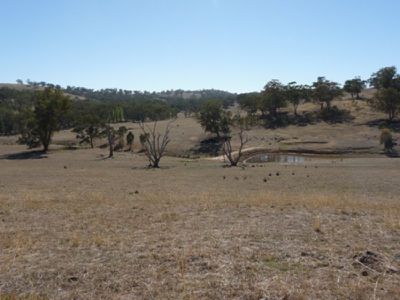 Boxwood Park Road, Bungowannah