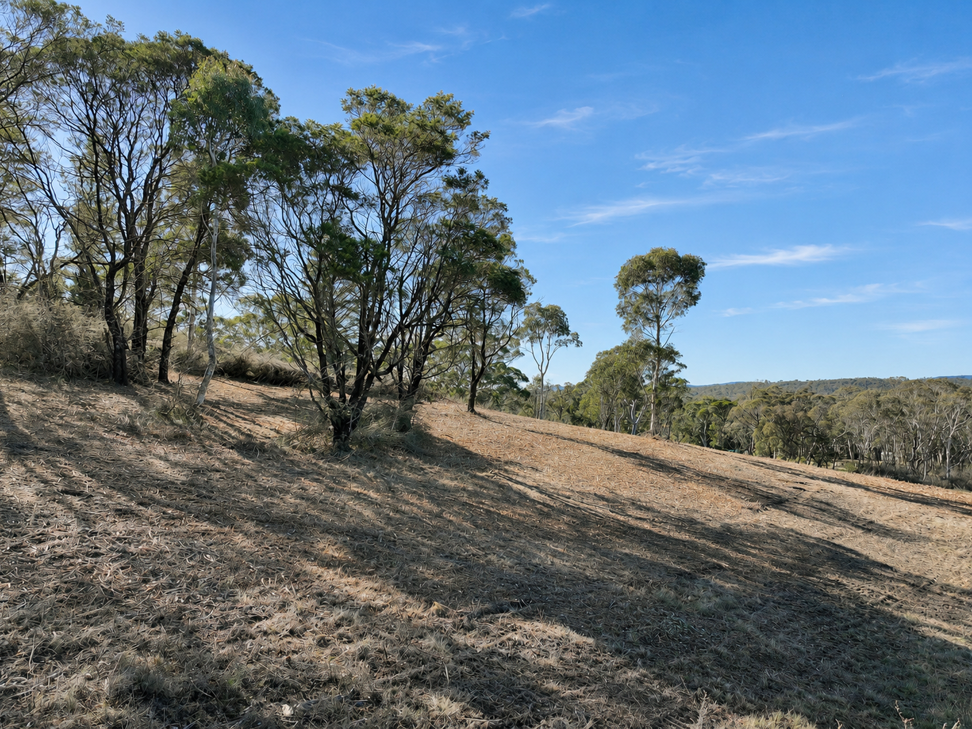 Lot 1 / 14 Ningee Nimbell Creek Road, Tomboye