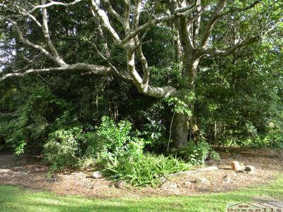 128 Schultz Road, Maleny
