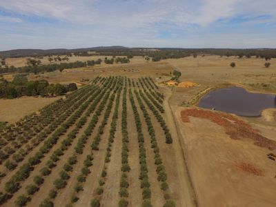 Heathcote