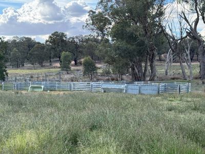 86 Hunts Crossing Road, Parkes