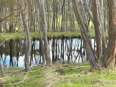 132 Ocean Beach Road, Denmark