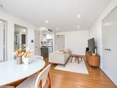 501 / 40 Mcevoy Street , Waterloo