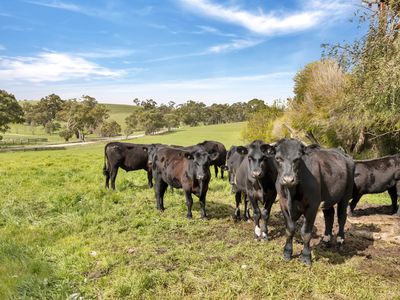 50 Hillclimb Road, Mount Mckenzie