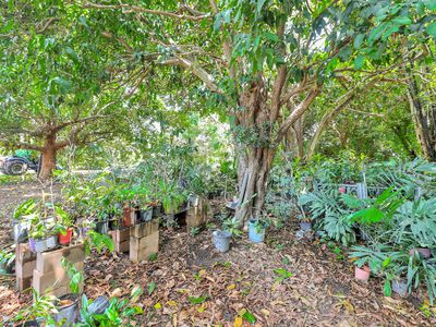600 Mocatto Road, Acacia Hills