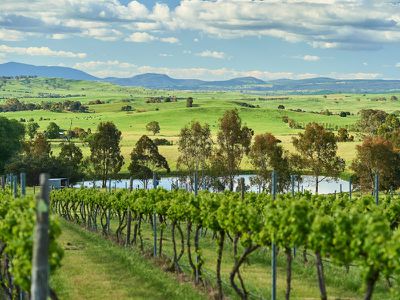 315 Wairere Road, Boorolite