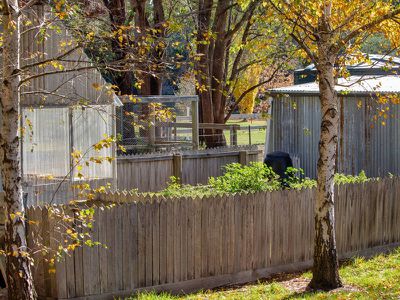 1085 Tabletop Road, Tolmie