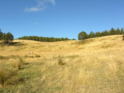 Office HUON / Highway, Dover