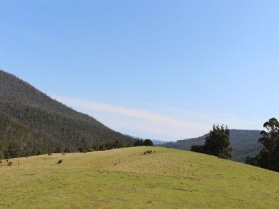 Lot 4, 100 Crosswells Road, Pelverata