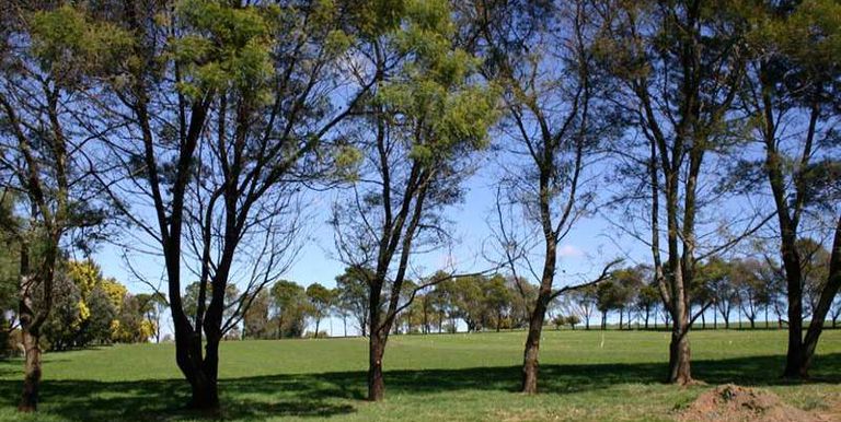 291 Brookleigh Road, Strathbogie