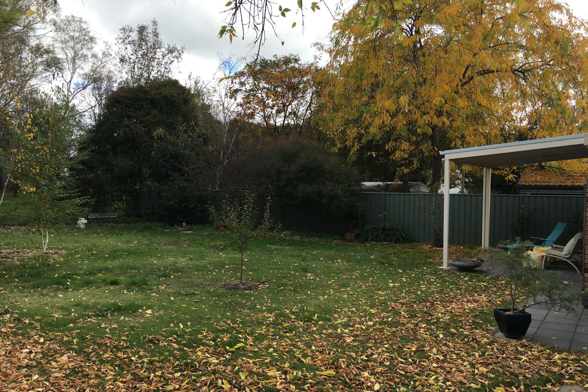 29 Rowe Street, Mansfield