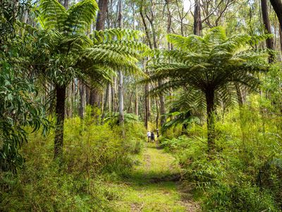 Kingfisher Road , Wyndham