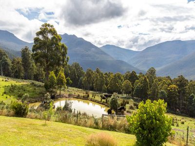 230 Fyfes Road, Mountain River