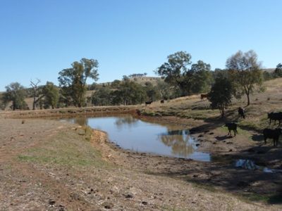 Boxwood Park Road, Bungowannah