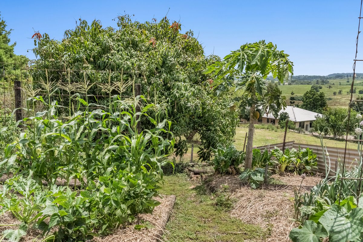 64 Bridge Street, Wyrallah