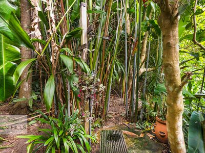 240 Stanger Road, Stony Chute