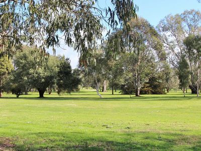 43 Elvins Street, Mansfield