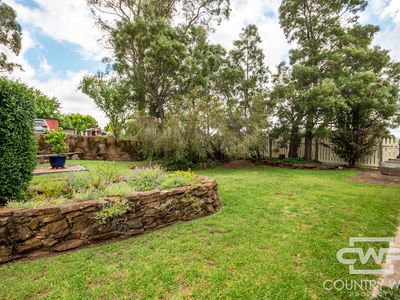 4 Oliver Street, Glen Innes