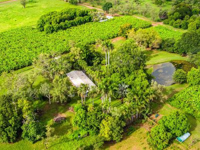 544 Packsaddle Road, Kununurra