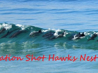 65 Booner Street, Hawks Nest