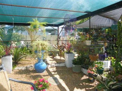 66 Sam St, Forbes