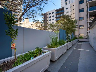 63 / 131 Adelaide Terrace, East Perth