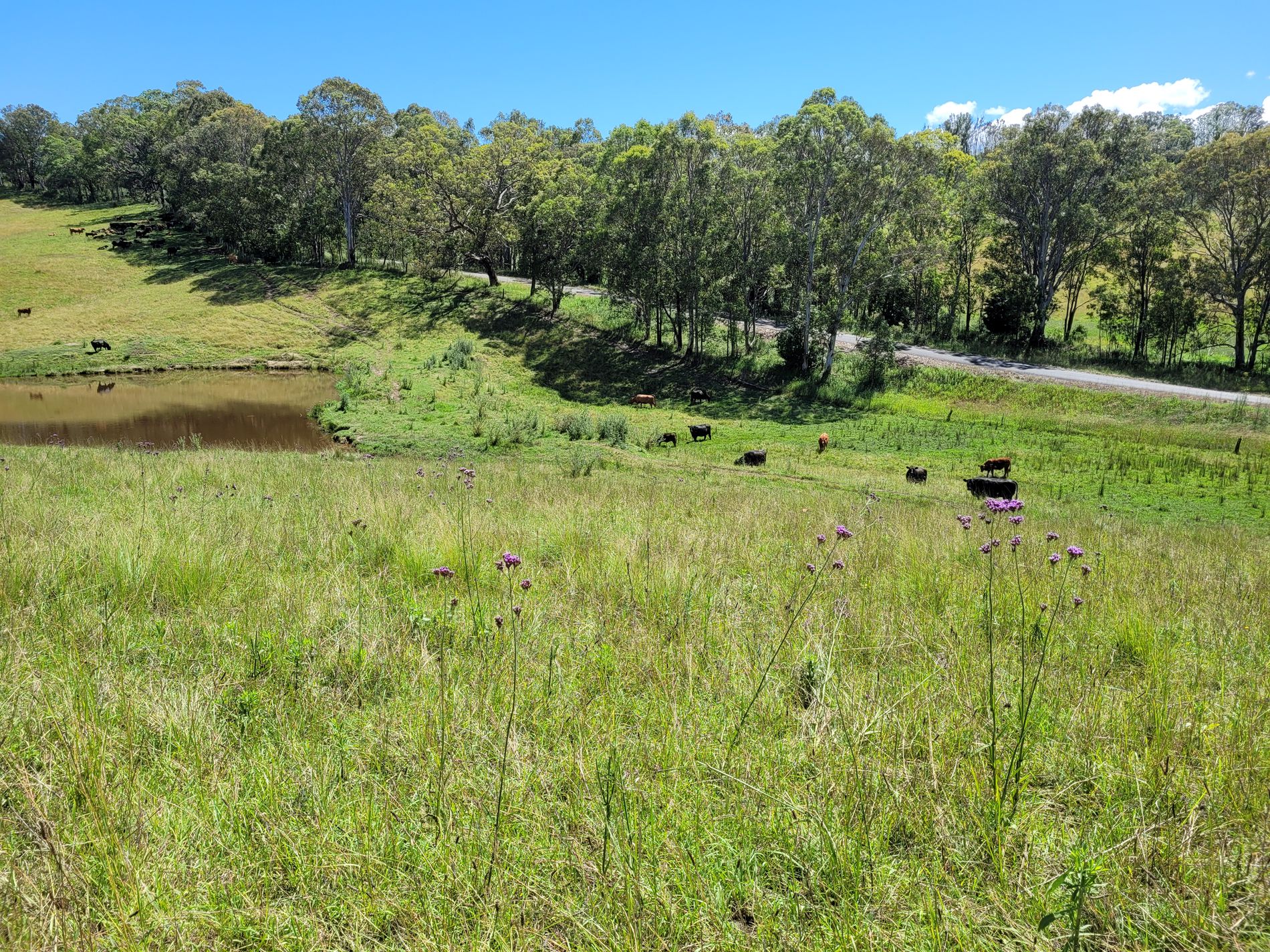 472 Neringla Road, Neringla