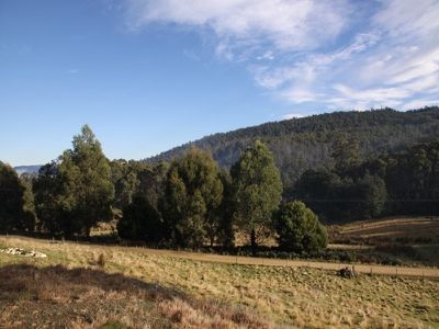 264 Judds Creek Road, Judbury
