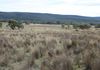 Lake Endeavour Road, Parkes