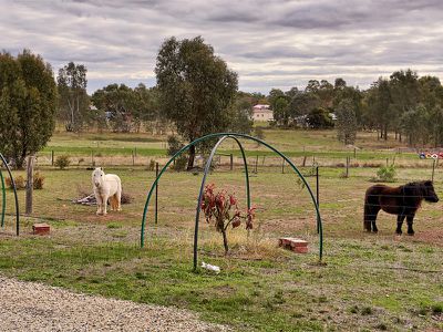 44 Scarlett Street, Avenel