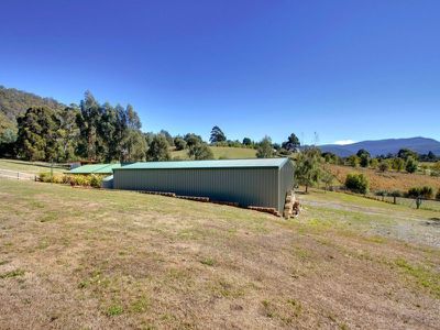 8 Kadina Close, Allens Rivulet