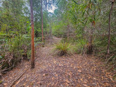 Lot 1, Link Road, Lonnavale