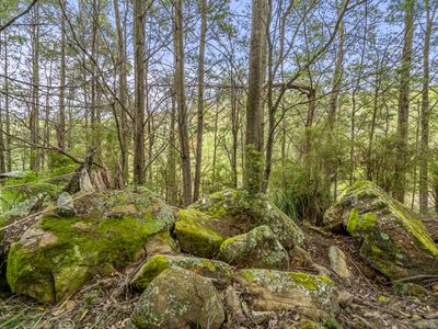 338 Dulcia Road, Gordon