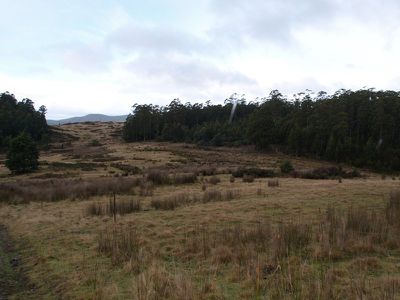 591 Toby's Hill Road, Cygnet