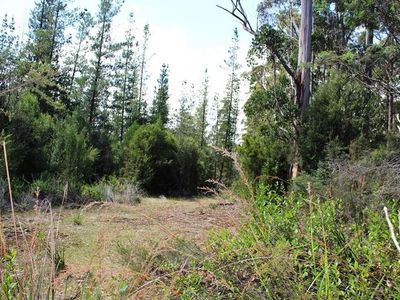 Land Off Steeles Road, Nicholls Rivulet