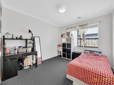 6 Milecastle Street, Tarneit