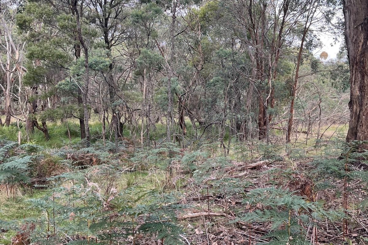 213 Ridge Road, Gooram