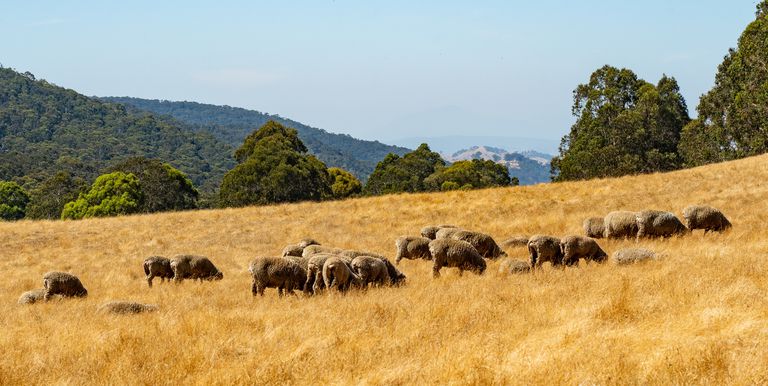 464 Tames Road, Strathbogie