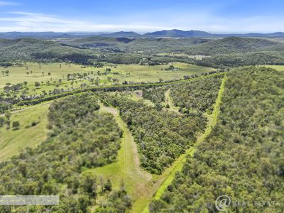 107 Sleipner Road, Nankin