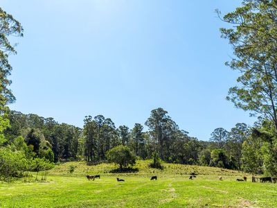 4358 Kyogle Road, Lillian Rock