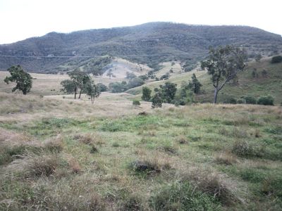 Rouchel Gap Road, Mccullys Gap